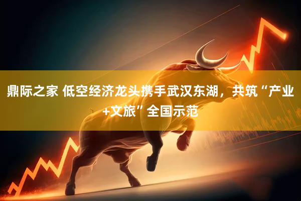 鼎际之家 低空经济龙头携手武汉东湖，共筑“产业+文旅”全国示范