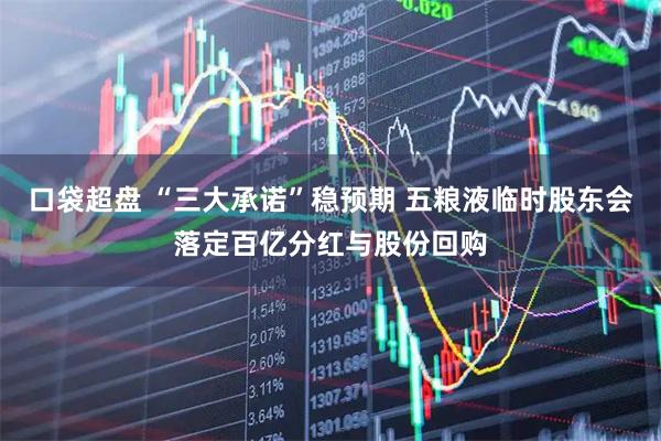 口袋超盘 “三大承诺”稳预期 五粮液临时股东会落定百亿分红与股份回购