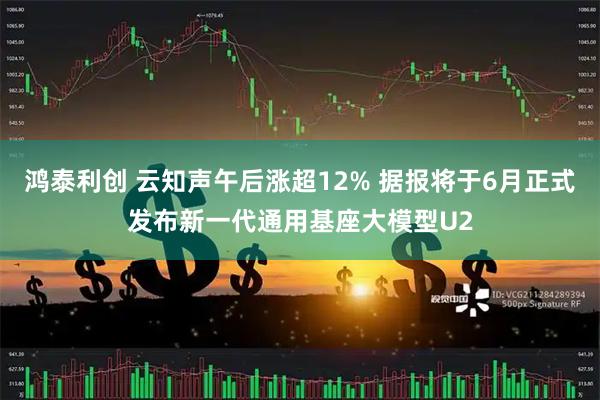 鸿泰利创 云知声午后涨超12% 据报将于6月正式发布新一代通用基座大模型U2