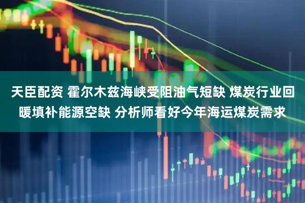 天臣配资 霍尔木兹海峡受阻油气短缺 煤炭行业回暖填补能源空缺 分析师看好今年海运煤炭需求
