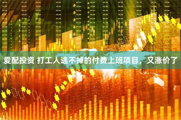 爱配投资 打工人逃不掉的付费上班项目，又涨价了