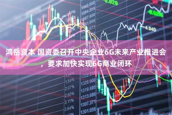 鸿岳资本 国资委召开中央企业6G未来产业推进会，要求加快实现6G商业闭环